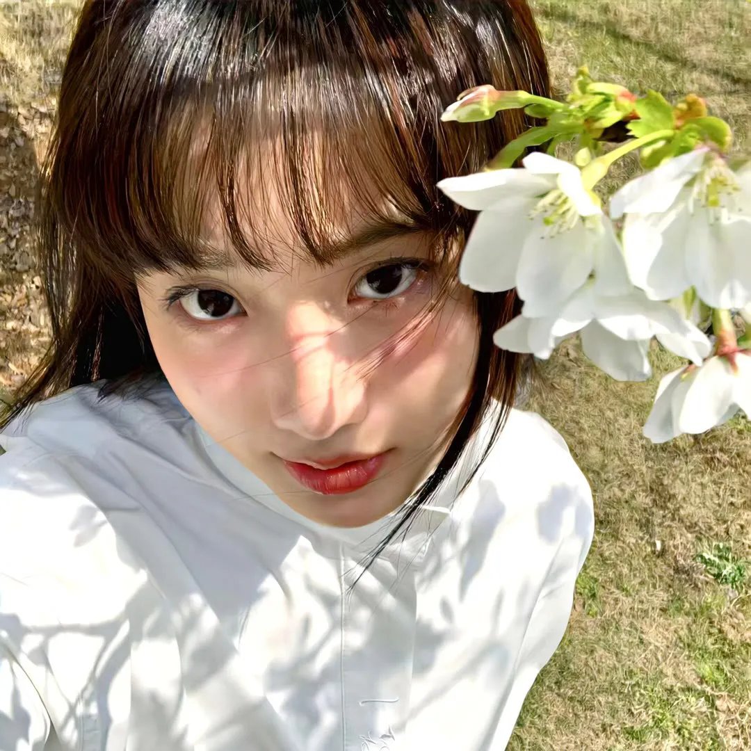 美丽生灵